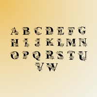 Thumbnail for Thermoflasche Monogramm - konisch